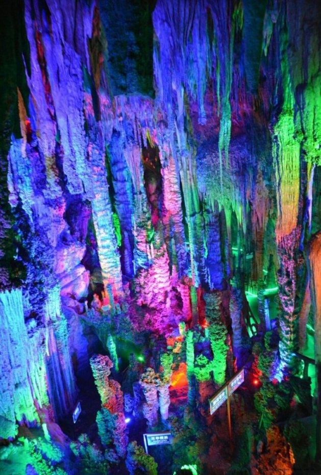如果你在5年前在这只股票上投资了1000美元,那么今天你将有5,000美元